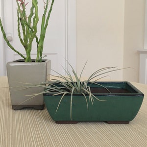 May include: Two potted plants on a table. One is a tall, green plant with pink tips in a square, light gray pot. The other is a small, green plant in a rectangular, dark green pot. The table has a light beige striped pattern.