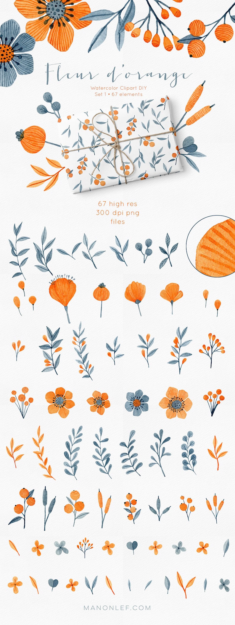May include: A set of 67 watercolor clipart elements featuring orange and blue flowers, leaves, and berries. The elements are perfect for creating digital or printed designs.