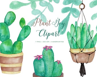 Watercolor Clipart Plants Succulents, planters, cactus. Hand Painted Watercolour graphics with macrame hanging planter. Download images.