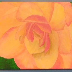 painting decor yellow orange Begonia