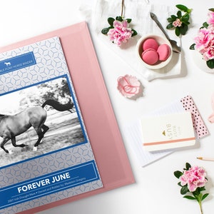 Horse Records Printable Pack, Personalized, Digital Download