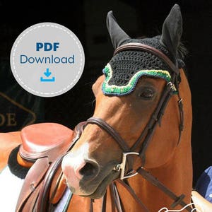 Horse Fly Bonnet Pattern, Crochet Pattern, Digital Download image 1