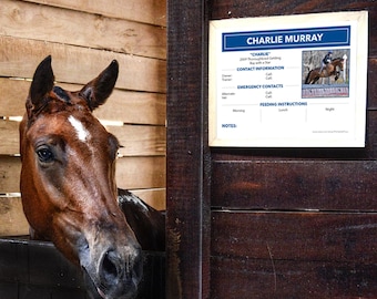 Personalized Printable Horse Stall Card