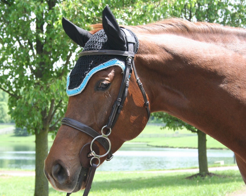 Horse Fly Bonnet Pattern, Crochet Pattern, Digital Download image 2