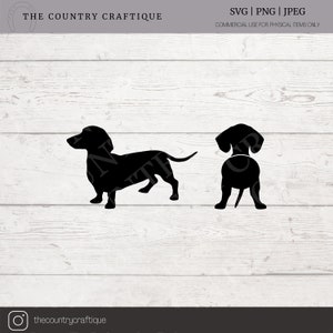 Dachshund svg graphic Bundle SVG / PNG / JPG Graphic Clipart | puppy svg | dog clipart | weiner dog gift | weiner dog download