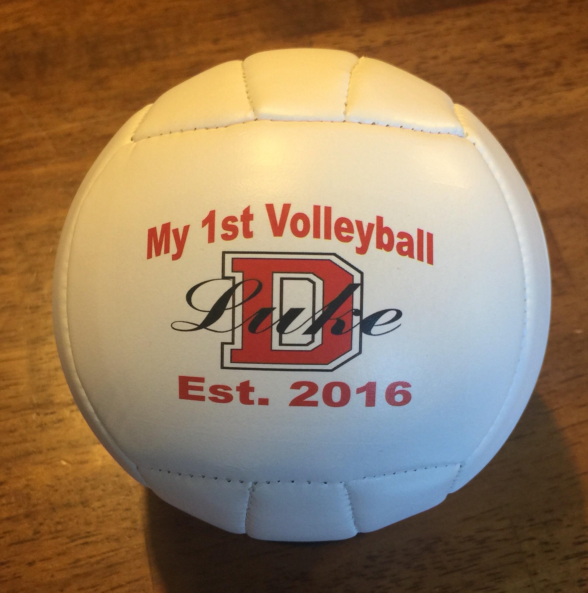 Mini voleibol personalizado personalizado para regalos de Etsy