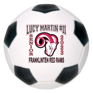 Personalized Custom Mini Soccer Balls, Photo Ball,  Coach Gifts, Sports, Senior Gifts, Soccer Player Awards , Soccer Gift, Sports Gift
