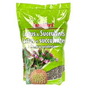 May include: A green bag of Lambert Cactus & Succulents potting mix. The bag features the product name in English, French, and Spanish. The bag shows a close-up of a cactus with pink flowers and a succulent plant.