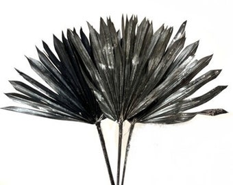 King Palm Leaves | dried palm leaves| sun spear leaves |