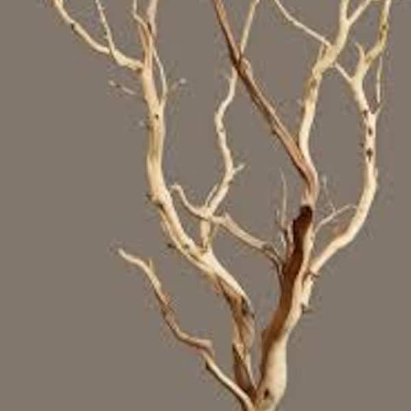 Manzanita wood Tree branches ( sand blast)3.5’|4’