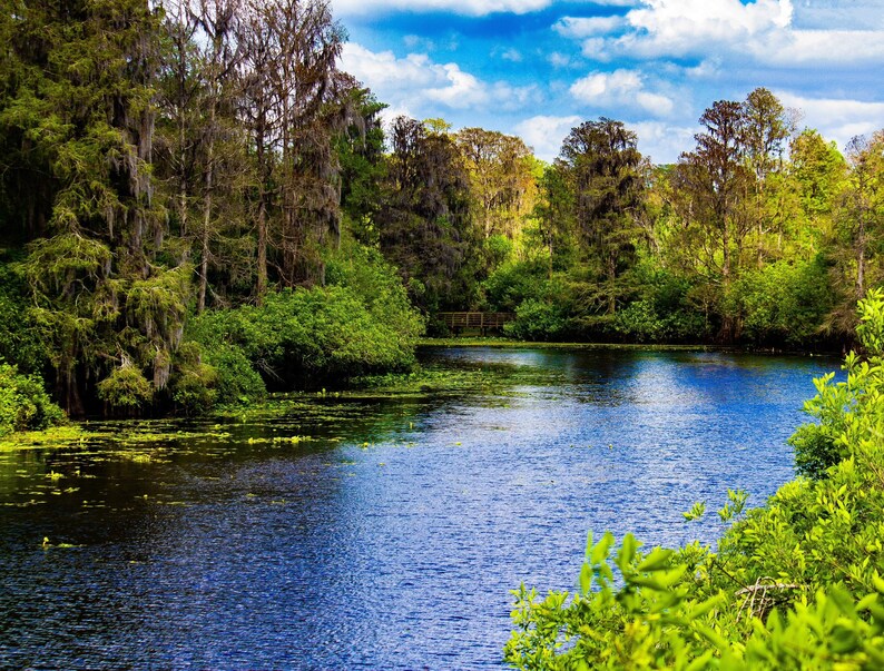 Lettuce Lake Park Etsy