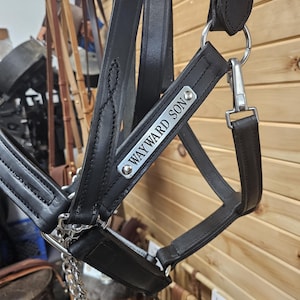 May include: Black leather horse halter with silver-tone hardware. The halter features the text "WAYWARD SON" on a metal plate. Other leather tack is visible in the background.