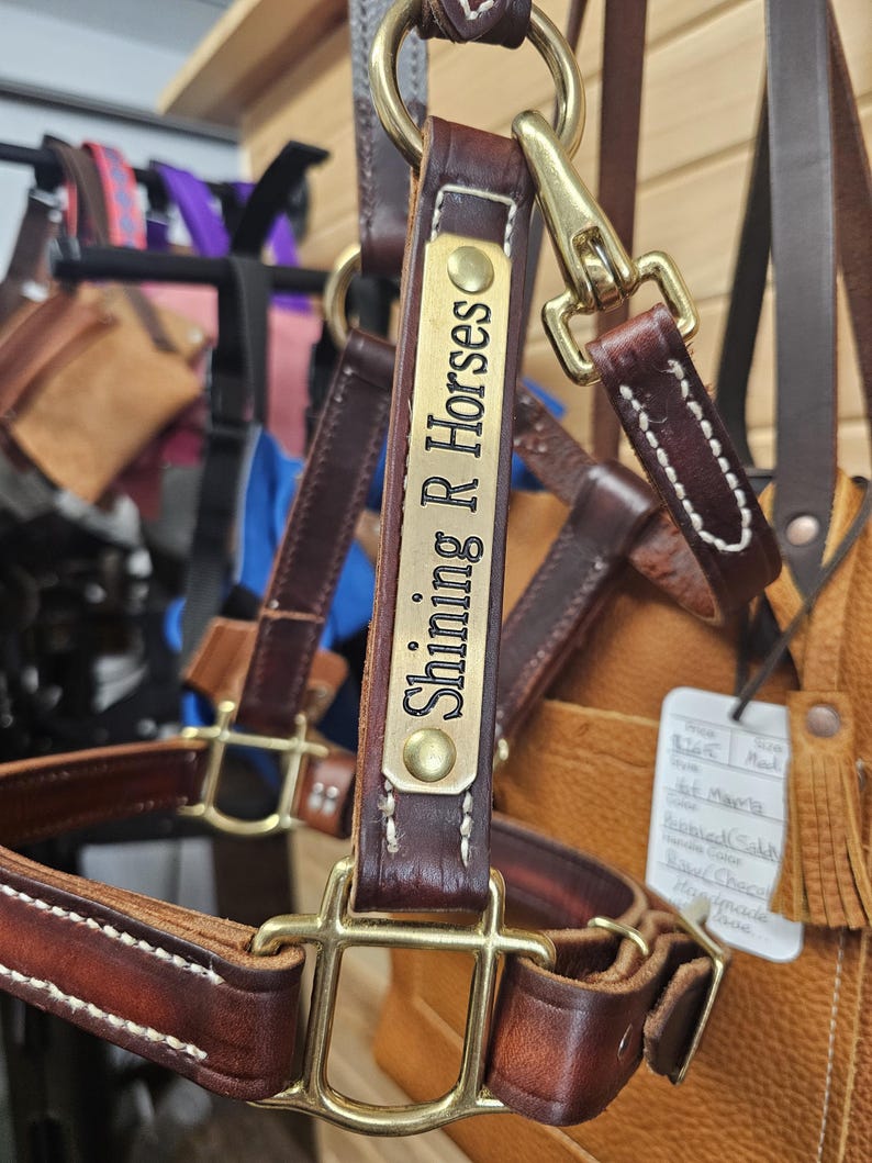 K&ouml;nnte beinhalten: Ein braunes Leder-Pferdehalfter mit Messingbeschl&auml;gen und einem Messing-Namensschild mit der Aufschrift "Shining R Horses".