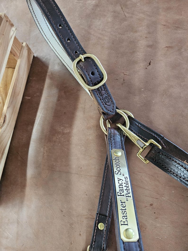 Handgefertigte Pferdehalfter aus Leder in der Farbe Braun in Braun mit Edelstahl-Hardwares m/Kehlverschluss Bild 4