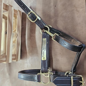 Handgefertigte Pferdehalfter aus Leder in der Farbe Braun in Braun mit Edelstahl-Hardwares m/Kehlverschluss Bild 1