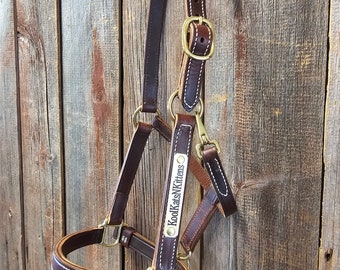 May include: A brown leather horse halter with white stitching and brass-colored hardware. The halter features the text "KoolKatsNKittens" on a small rectangular plate. The halter is hanging against a wooden background.