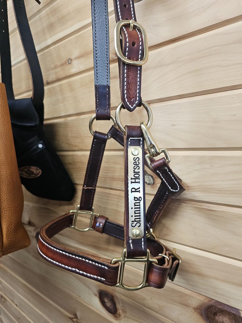 K&ouml;nnte beinhalten: Braunes Leder-Halfter f&uuml;r Pferde mit einem Messing-Namensschild mit der Aufschrift "Shining R Horses".
