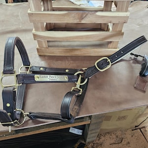 Handgefertigte Pferdehalfter aus Leder in der Farbe Braun in Braun mit Edelstahl-Hardwares m/Kehlverschluss Bild 3