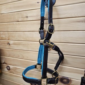 LEATHER HORSE HALTER&quot;Padded rich brown bridle Leather (soft lambskin padding 5 colors) w/solid brass H.W. (name plate Optional) made in Usa!