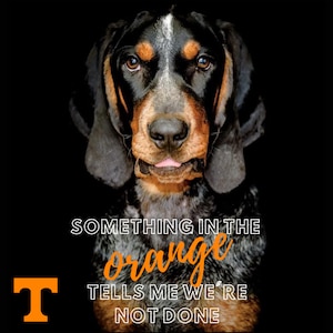 Tennessee VOLS Volunteers / SMOKEY / Something in the Orange Tumbler-ontwerp - alleen digitale download