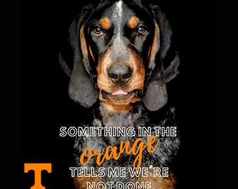 Tennessee VOLS Volunteers / SMOKEY / Something In the Orange Tumbler design - Digital Download only