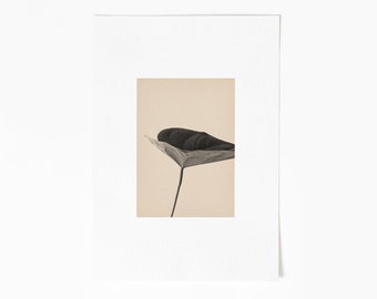 Minimal botanical monotone photography in neutral colors. Part of a series. No. 01. Downloadable files to print from home.