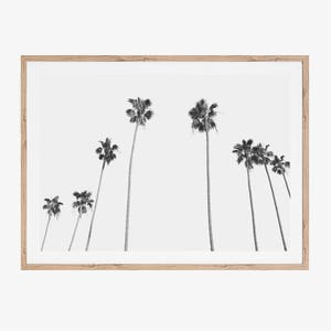 Palm Tree Print, Printable Art, Black and White Prints, Minimalist Living Room Print, Modern Office Wall Decor, Instant Download, Tropical