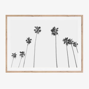 Impressão de palmeira, arte para impressão, impressões em preto e branco, impressão minimalista para sala de estar, decoração moderna para parede de escritório, download instantâneo, tropical