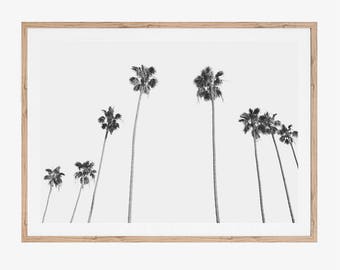 Palm Tree Print, Printable Art, Black and White Prints, Minimalist Living Room Print, Modern Office Wall Decor, Instant Download, Tropical