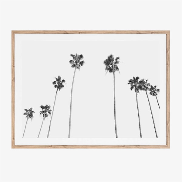 Palm Tree Print, Printable Art, Black and White Prints, Minimalist Living Room Print, Modern Office Wall Decor, Instant Download, Tropical