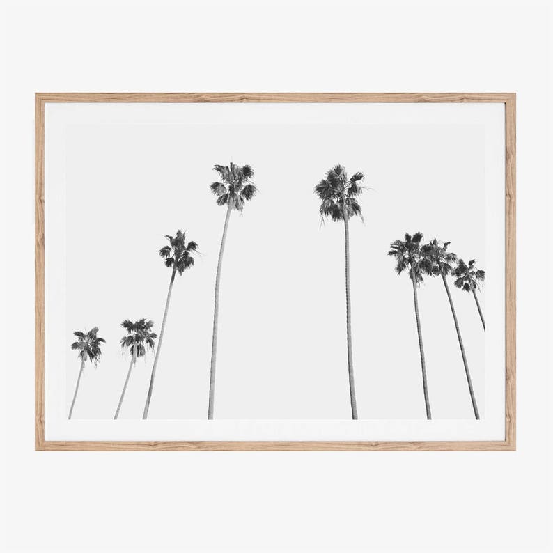 Palm Tree Print, Printable Art, Black and White Prints, Minimalist Living Room Print, Modern Office Wall Decor, Instant Download, Tropical image 1