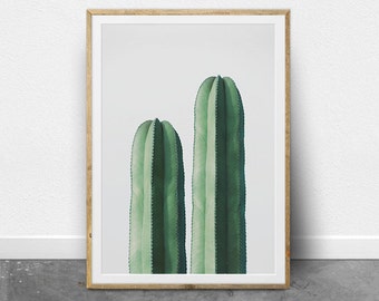 Modern Cactus Photography Print,  Digital Download