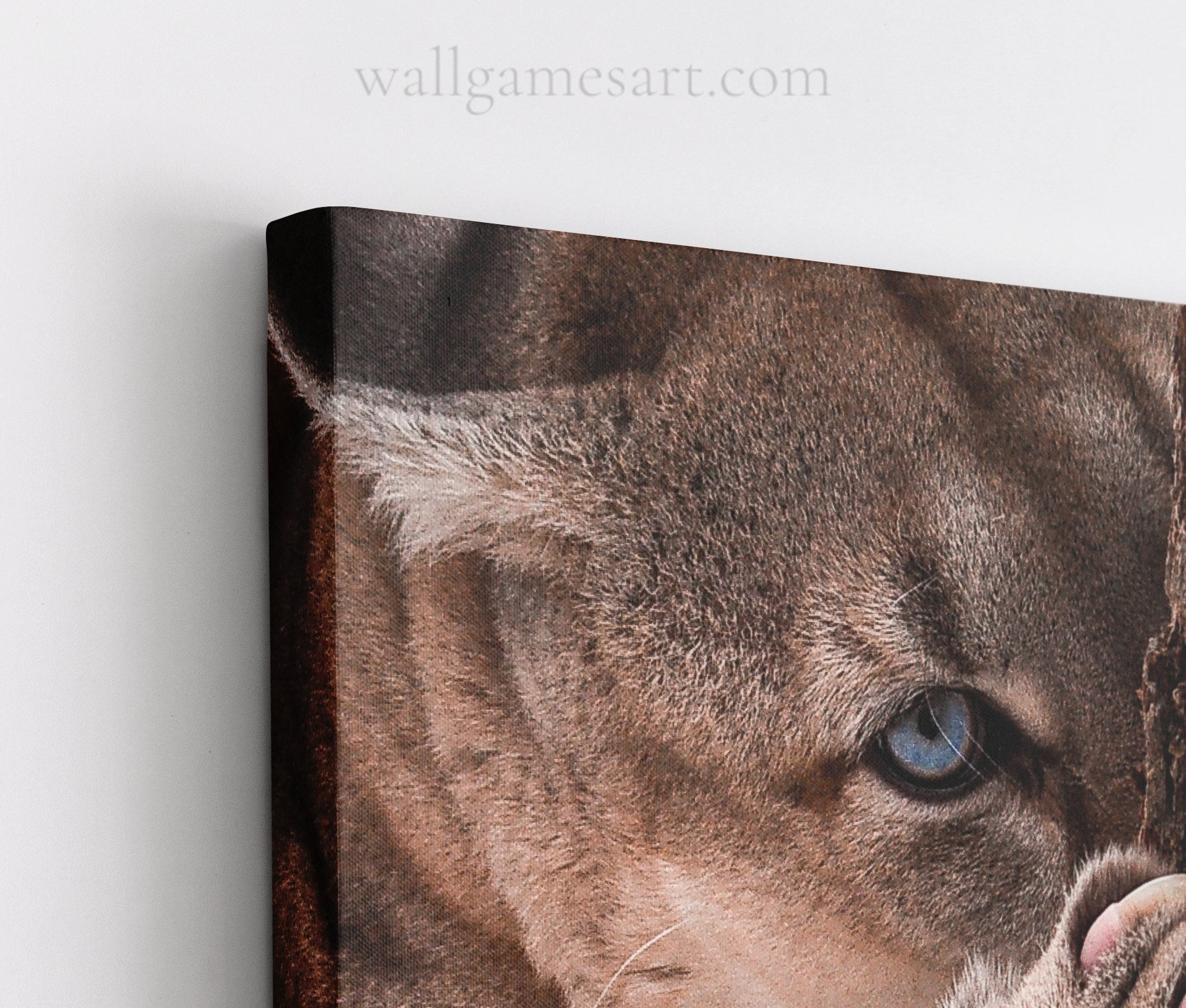 Animal Wall Art Nature Canvas Print Contemporary Large Etsy