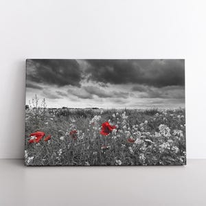 Poppies Flowers Canvas Print | Red Floral Painting | Colorful Painting | Home Decor Ideas | Design Canvas Wall Art | Nature  Black White