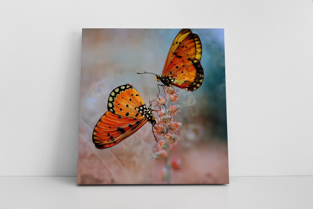 Butterfly Wall Art Animal Nature Canvas Wall Art Home Decor Abstract ...