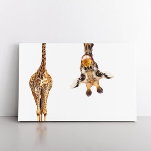 African Upside Down Giraffe Photography Nature Print | White Background Long Neck Herbivore Safari Animal Texture Modern | Canvas Wall Art