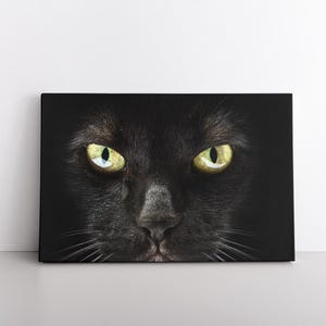 May include: Close-up of a black cat's face with bright yellow eyes. The cat is looking directly at the viewer.