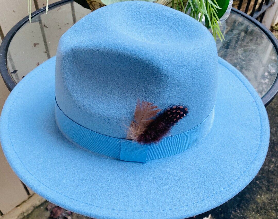 Light Blue Fedora With Chocolate Speckled Feathers and Light Etsy