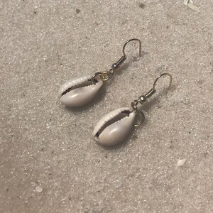 Cowrie shell earrings
