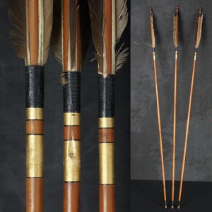 May include: Close-up and full view of several arrows. The arrows have brown shafts with gold and black accents. The fletching is made of brown and tan feathers. The arrows are likely for archery or display.