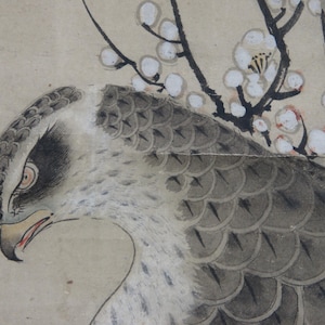 Antique Japan Taka falcon scroll painting Kano Shouei XVI cent art