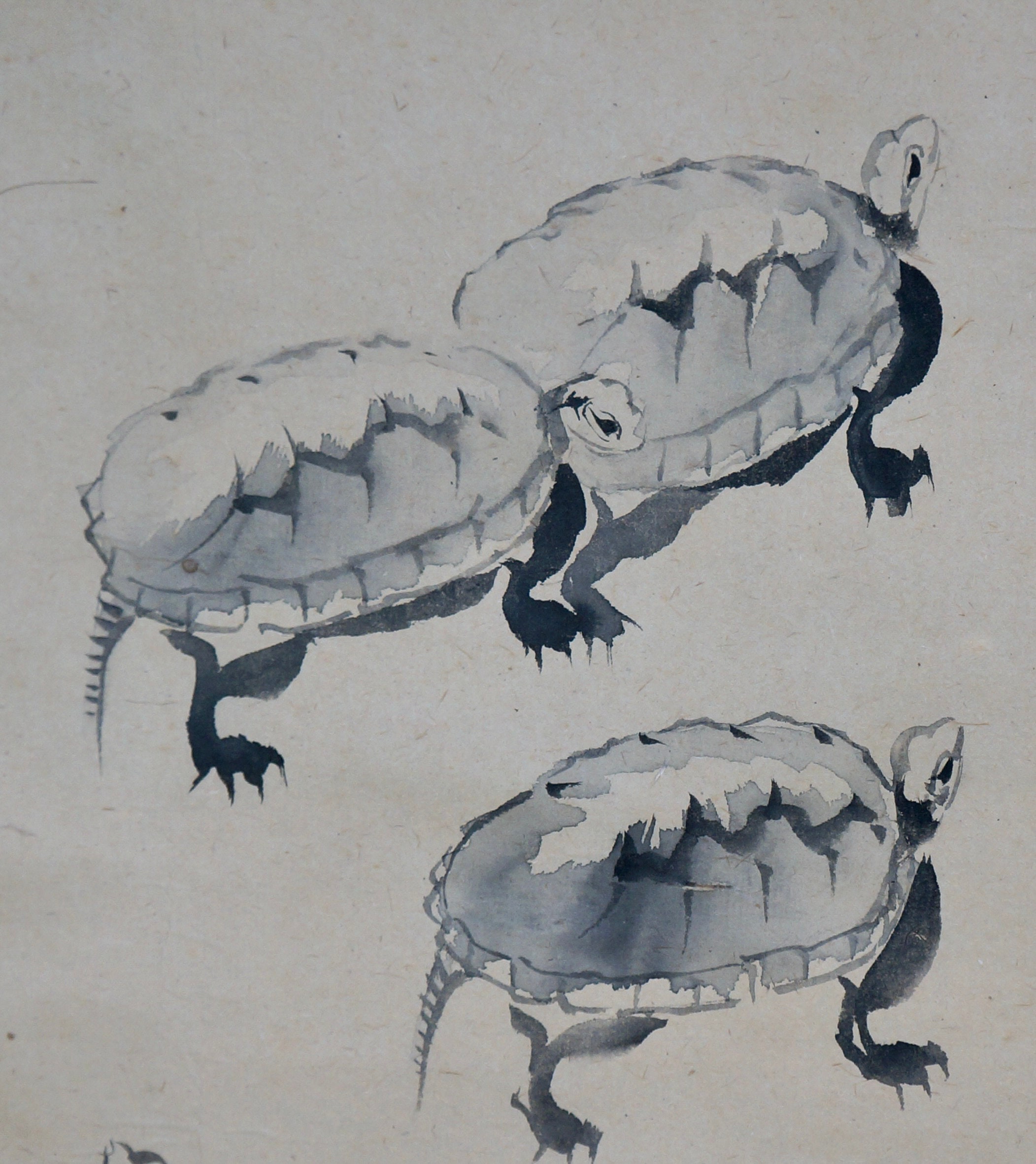 日本 亀亀絵 掛軸 1940年 墨絵 - Etsy 日本