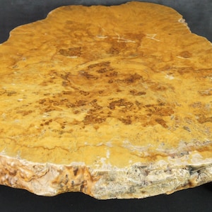 May include: A natural wood coffee table with a unique burl wood top and four turned legs. The table has a rustic, organic look and would be a great addition to any home.