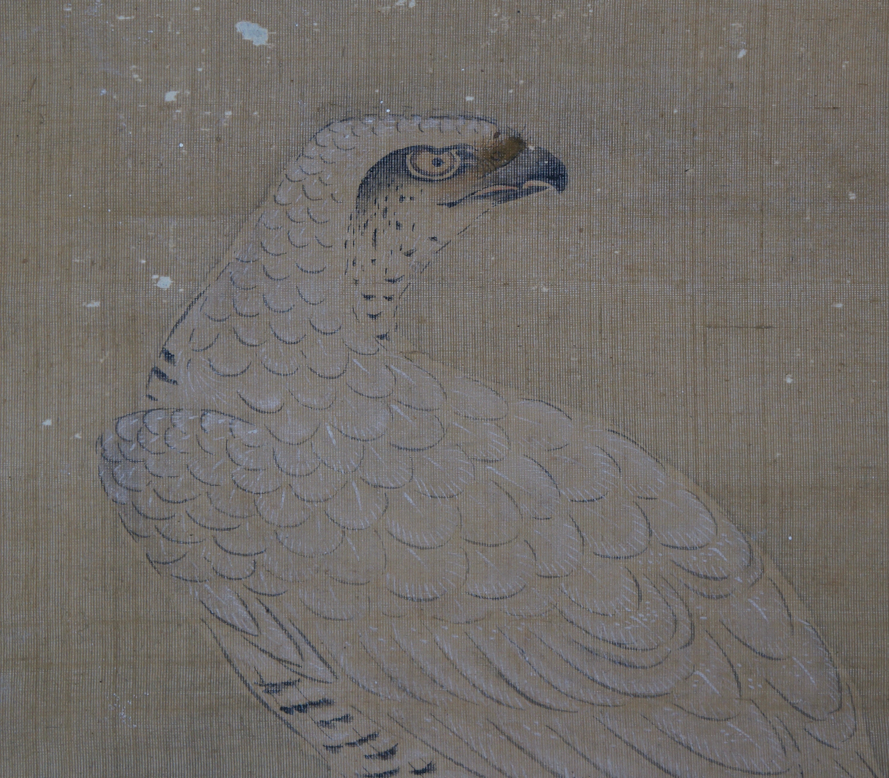 アンティーク日本鷹狩絵 白鷹 1800年代 江戸鷹狩良重美術 - Etsy 日本