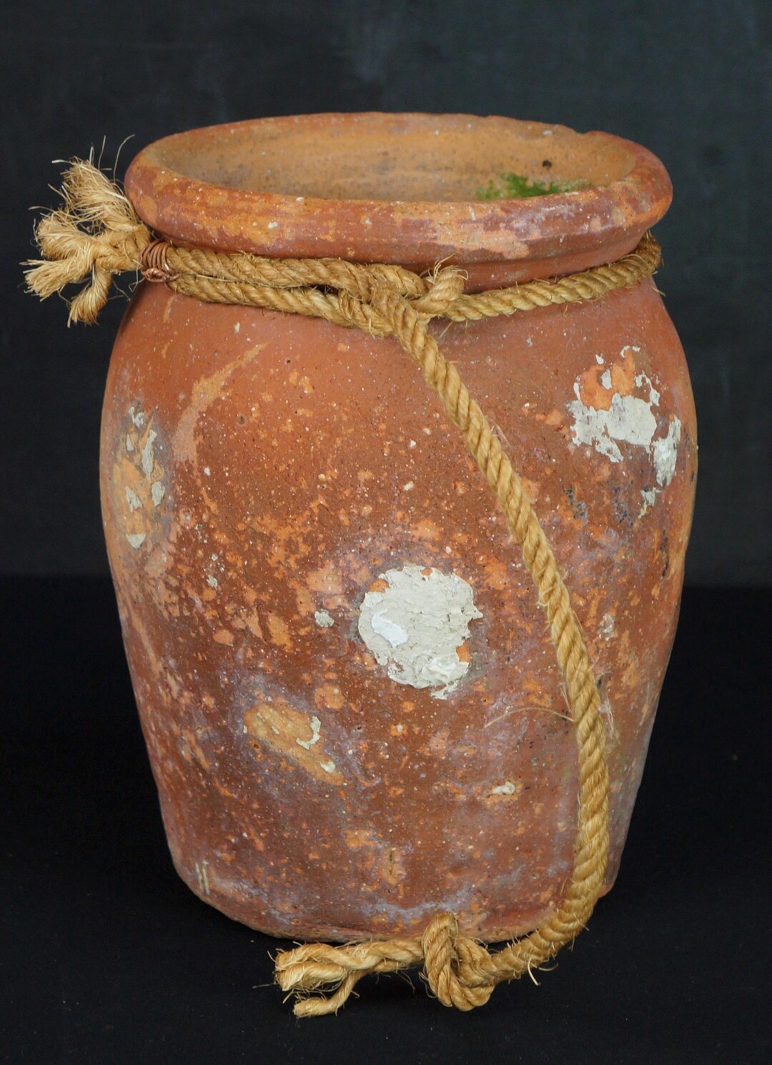 タコ壺 タコ捕り道具 1900年代 日本の漁業の伝統 日本の田舎の工芸品 
