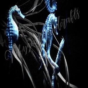 Seahorse colour pop digital photo print