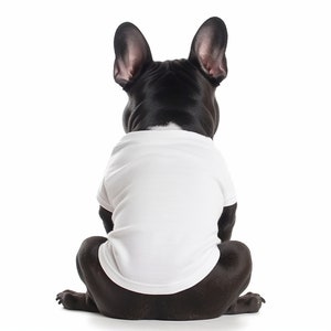 Dog T-Shirts for SMALL DOGS (Personalization available)