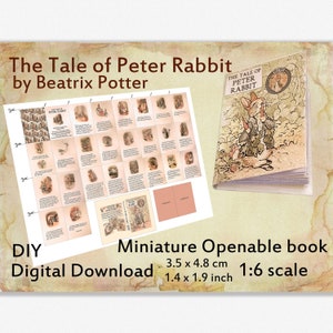 Tale of Peter Rabbit by Beatrix Potter, Doll printable miniature book for dollhouse 1/6 scale, digital Download, diy mini book with 26 pages