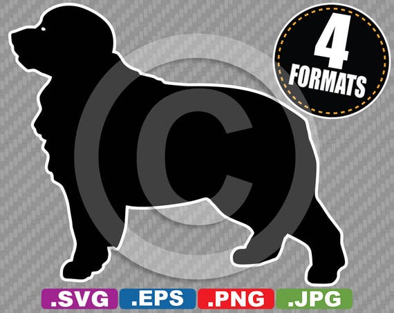 Free Free 219 Bernese Mountain Dog Svg Free SVG PNG EPS DXF File