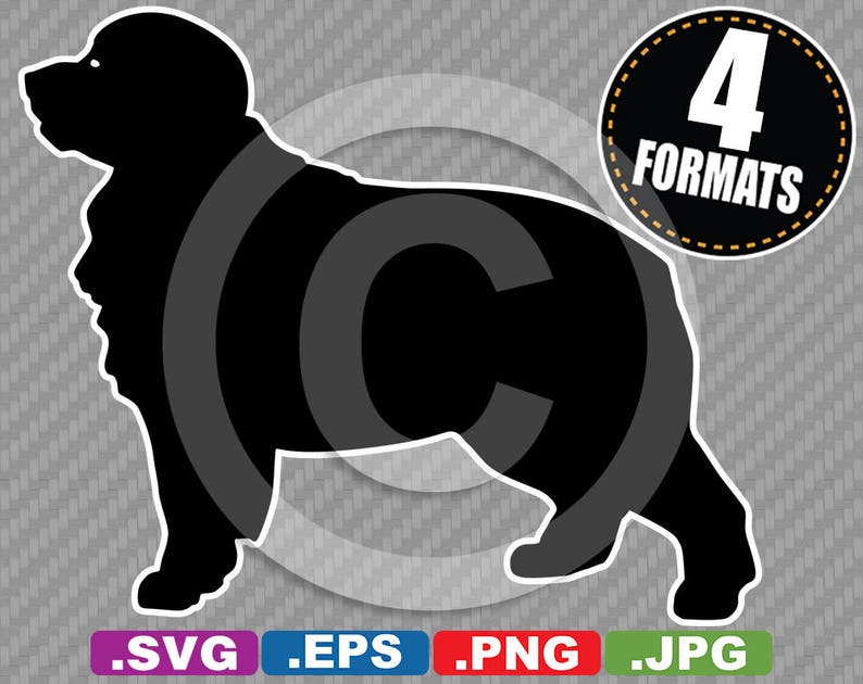 Free Free 214 Bernese Mountain Dog Svg Free SVG PNG EPS DXF File